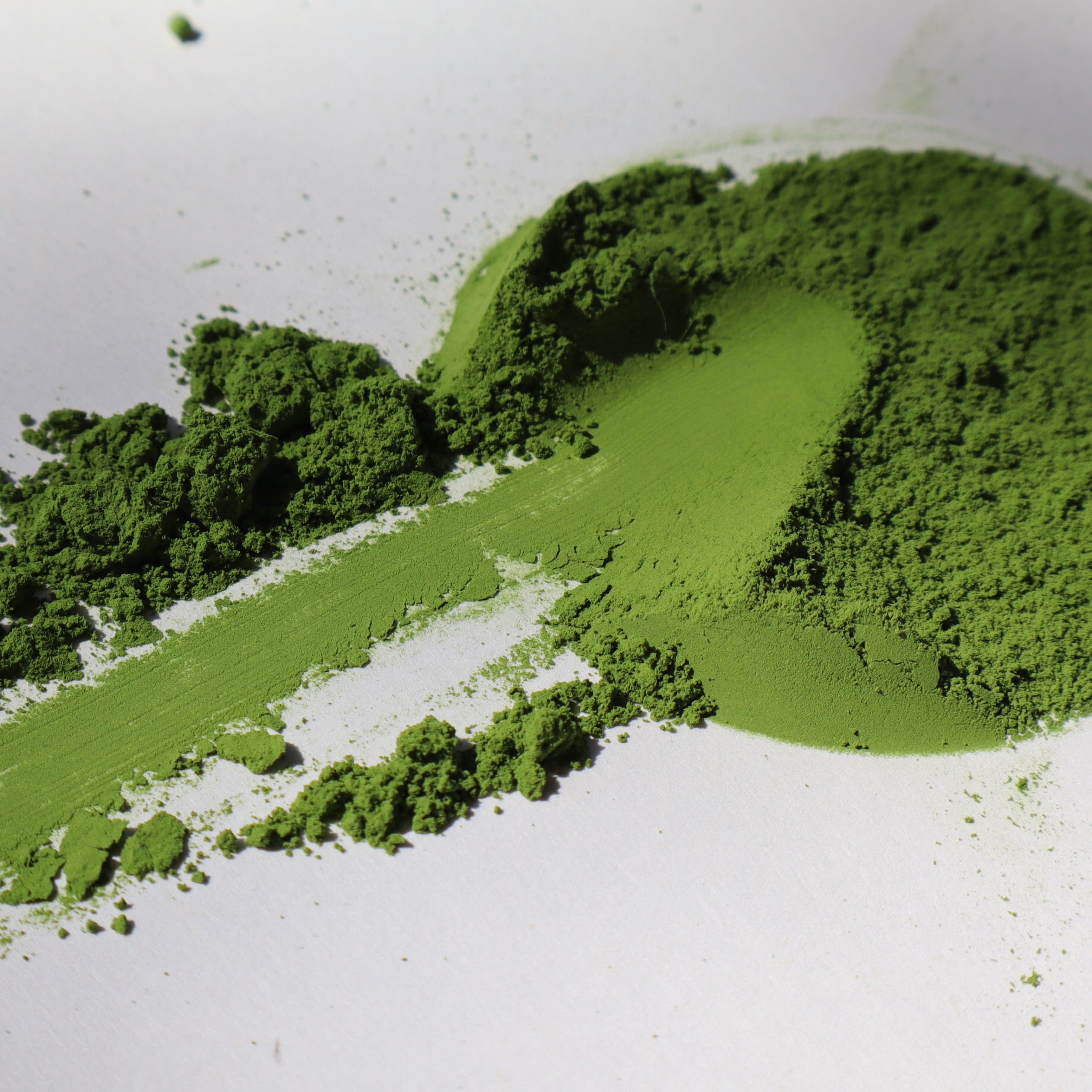 100% Okumidori Single Cultivar Matcha from Uji, Kyoto
