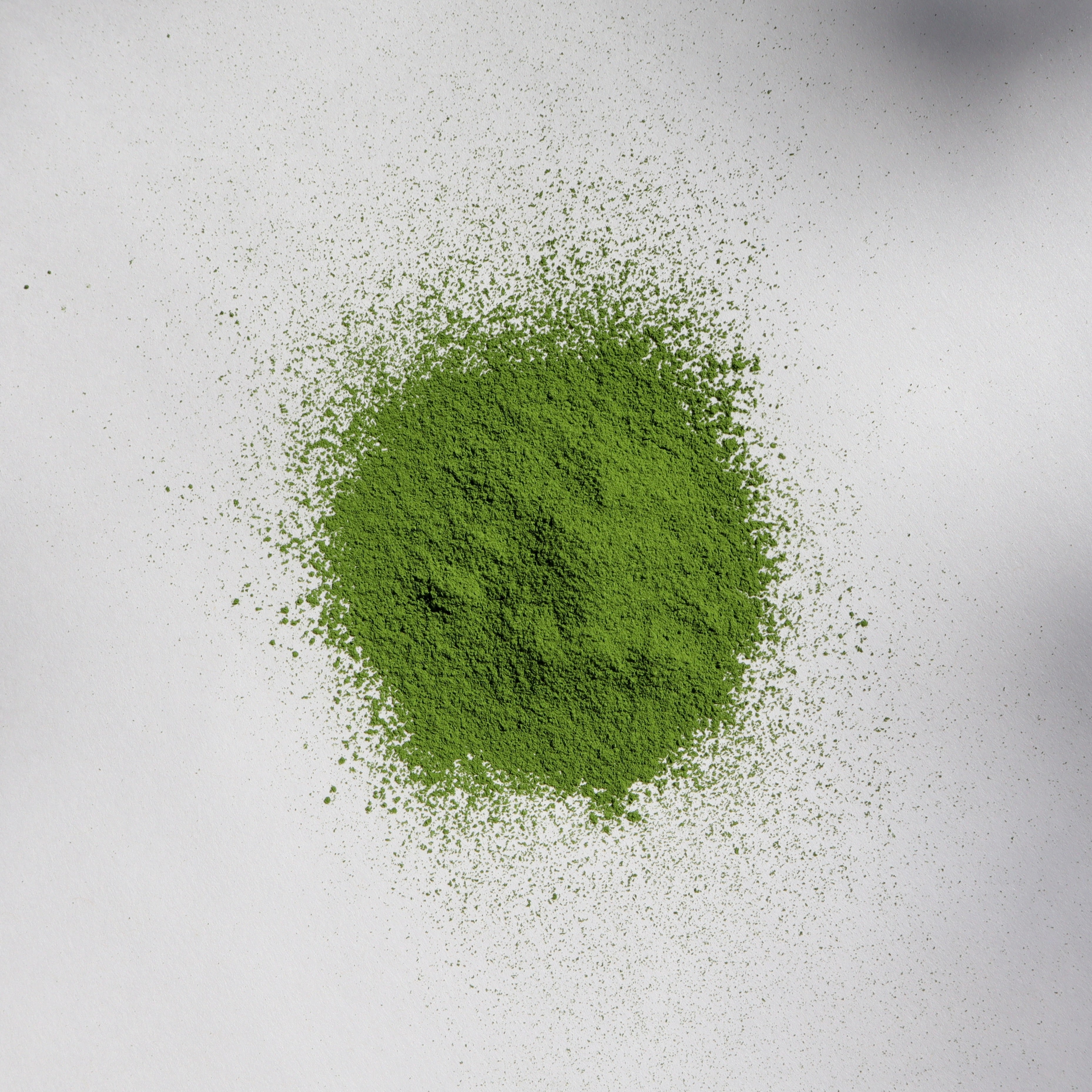 100% Okumidori Single Cultivar Matcha from Uji, Kyoto