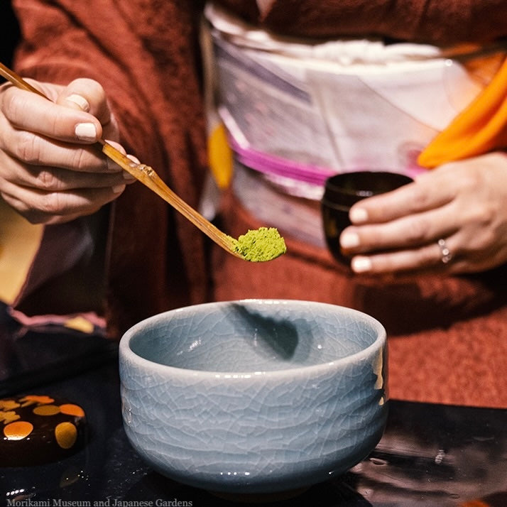 Matcha Scoop Chashaku